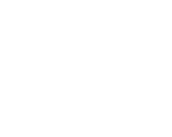 Bountiply white logo